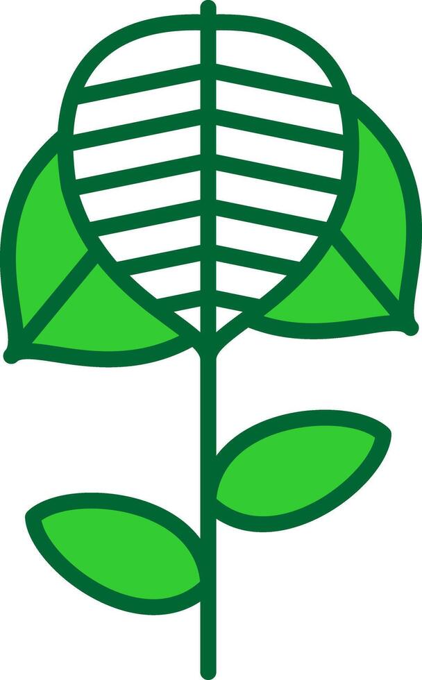 Anthurium Colorful Icon vector
