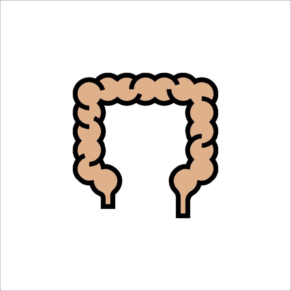 An illustration of a human stomach vector