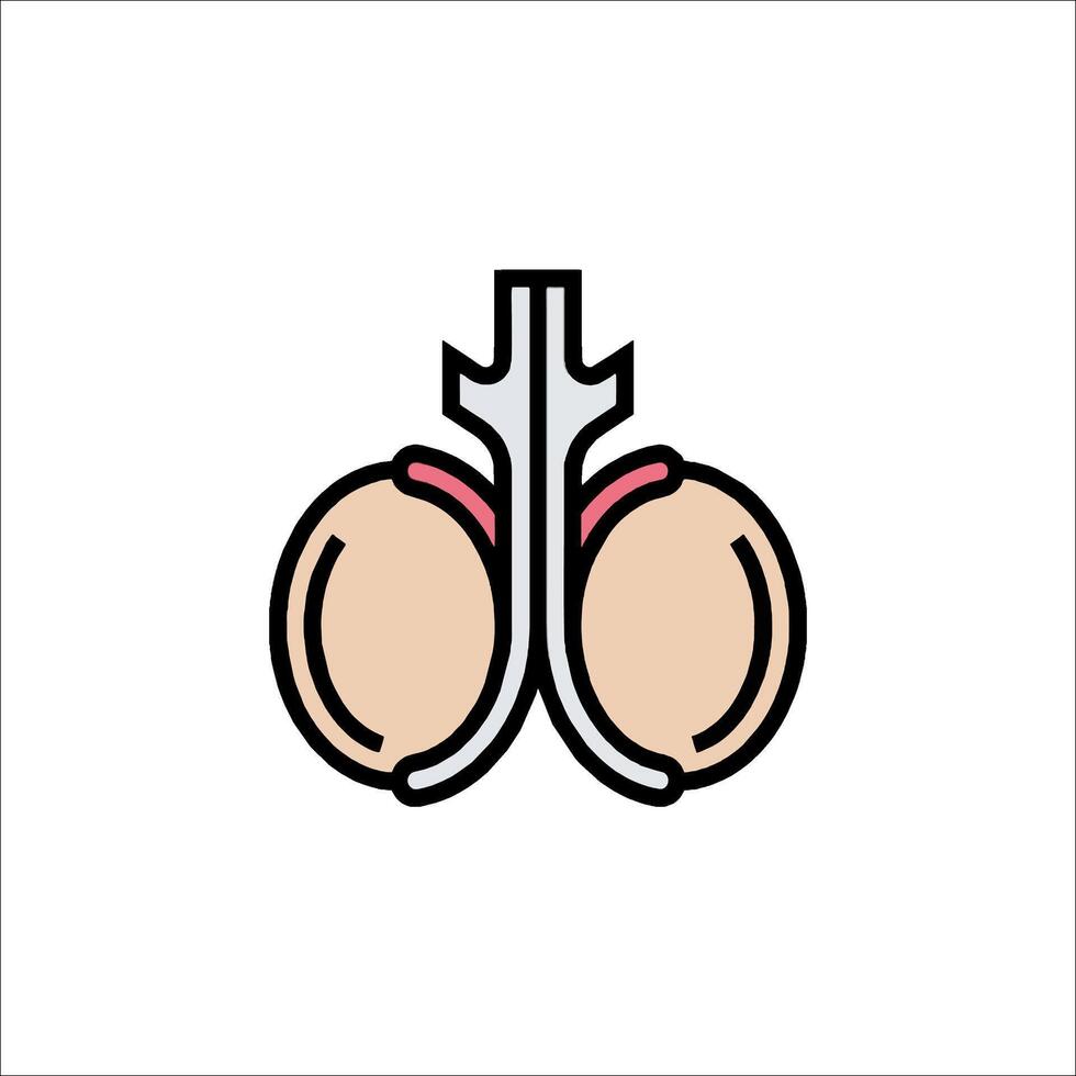 An illustration of a human organ vector