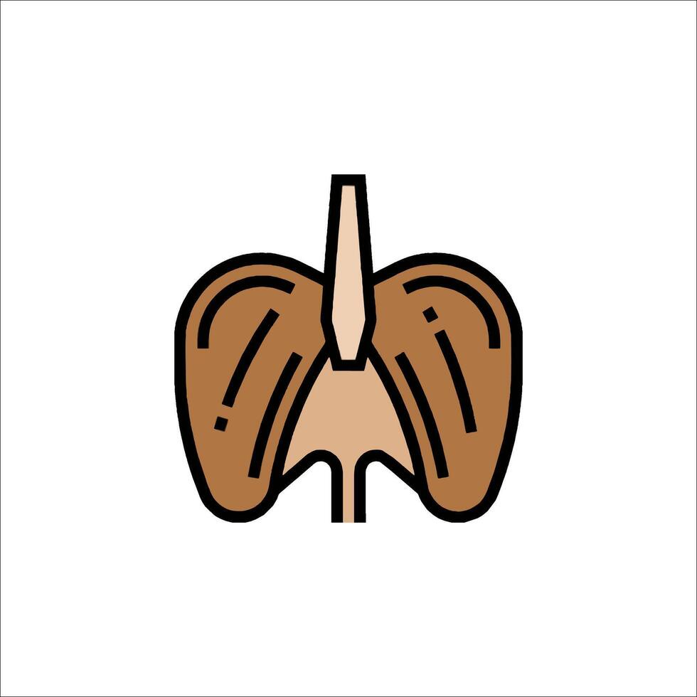 Lungs icon isolated on white background vector