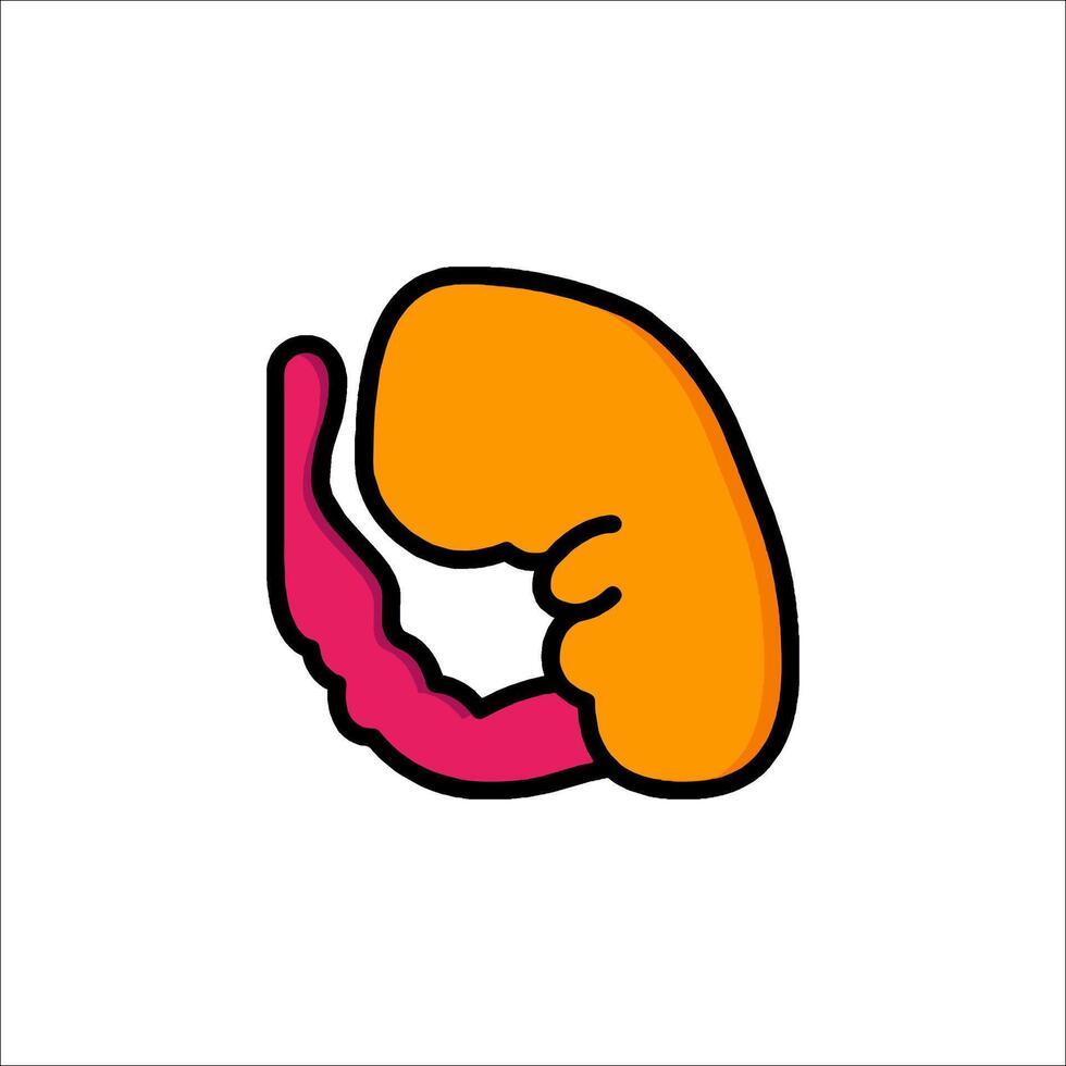 The human kidney icon illustration vector