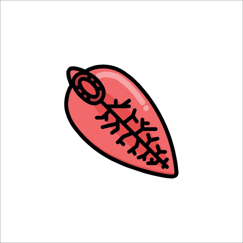 A red apple icon with a black line on it vector