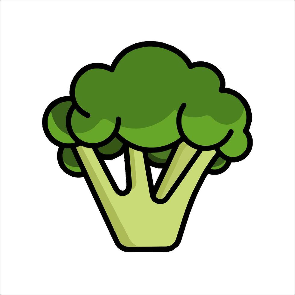 Broccoli icon illustration vector