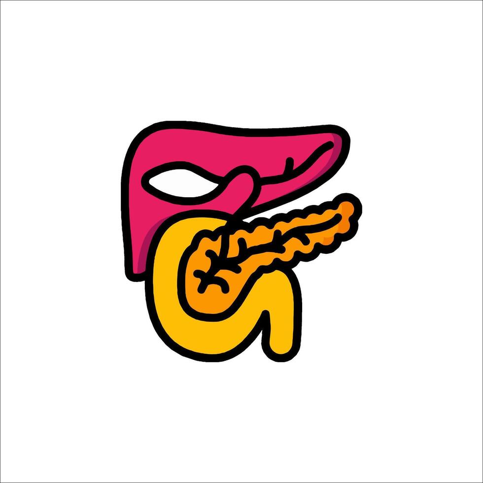 The liver is shown in a cartoon style vector