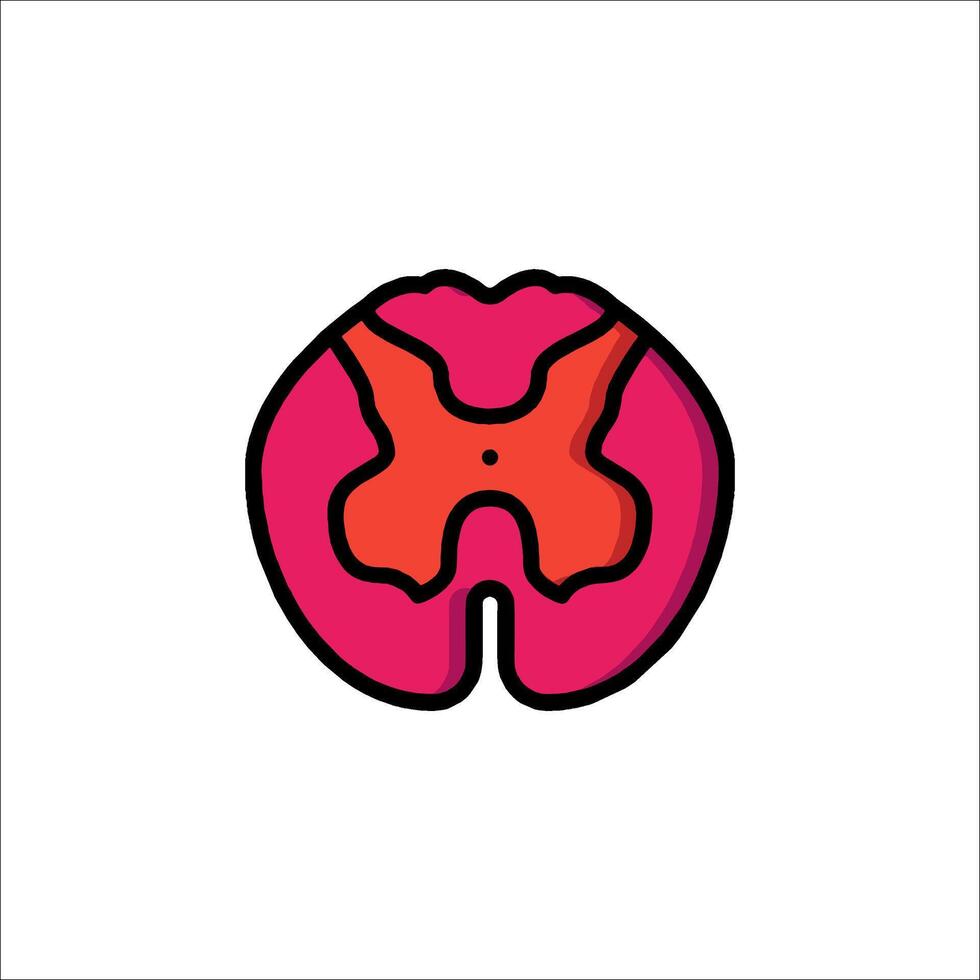 A red and pink brain with a hole in it vector