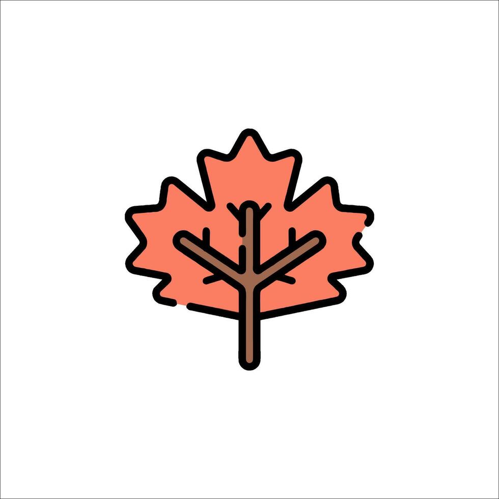 A maple leaf icon on a white background vector