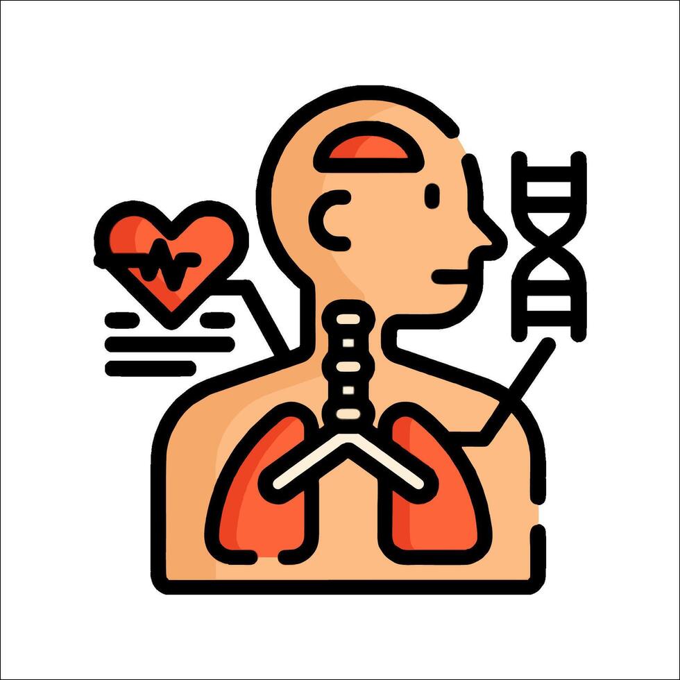 Human body with heart and lungs icon vector