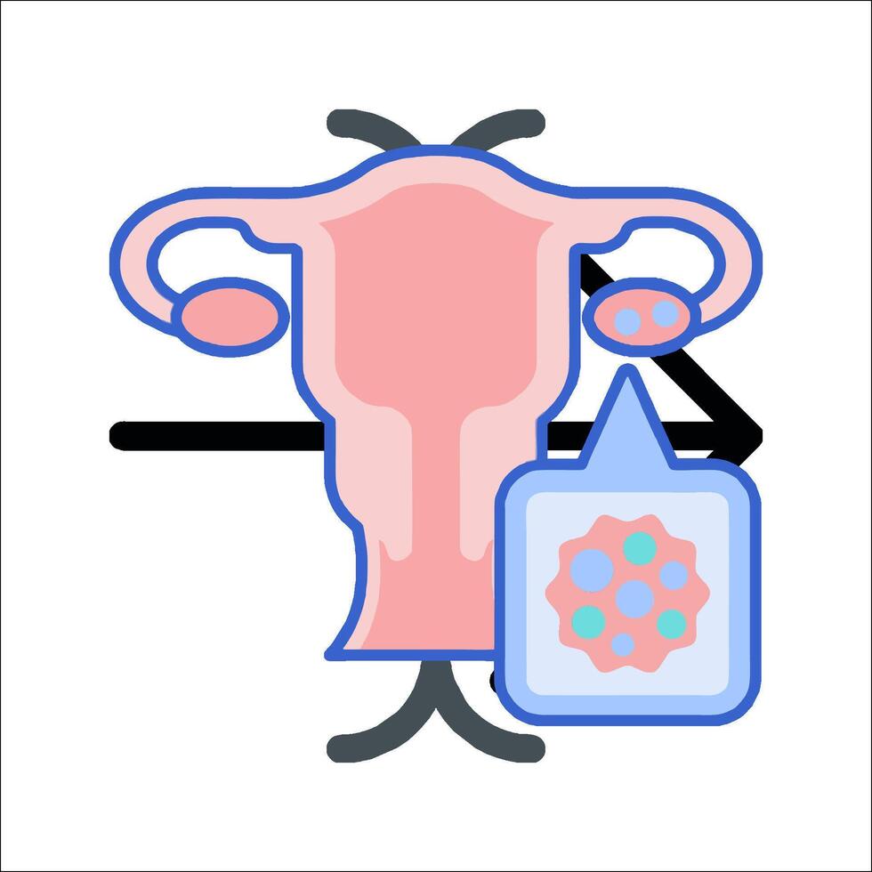The uterus is shown with a blue box and a pink box vector