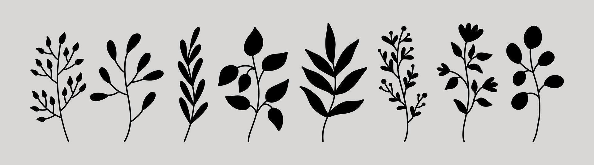 Botanical silhouette elements. Floral doodles. Set of abstract twigs with leaves of different shapes. Hand-drawn illustration. Perfect for cards, decorations, various designs. vector