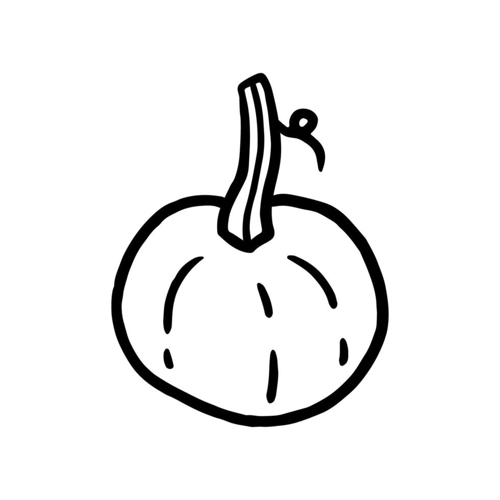 Pumpkin isolated on a white background. hand-drawn doodle illustration. Perfect for decorations, menu, logo, various designs. vector