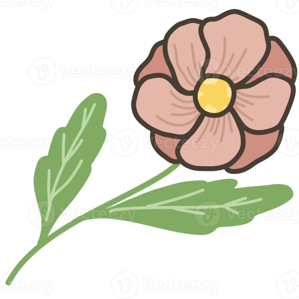 pink flower drawing png