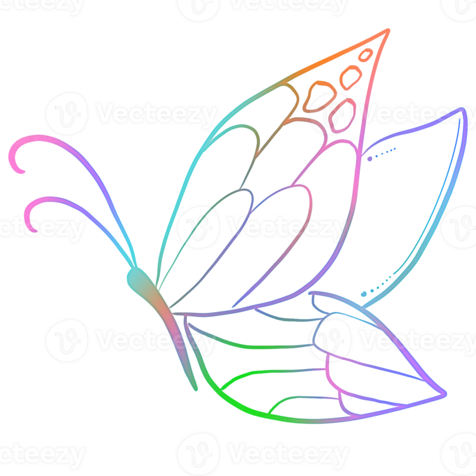 A rainbow outline of a butterfly png