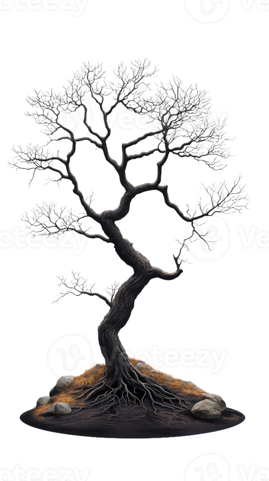 Bare tree with twisted branches in artistic style on transparent background png
