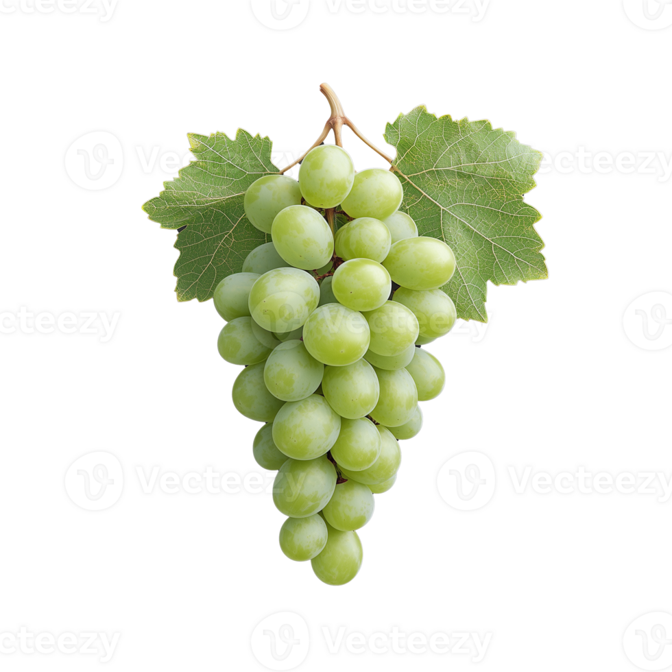 Bunch of green grapes with leaves on transparent background, fresh and natural fruit display png