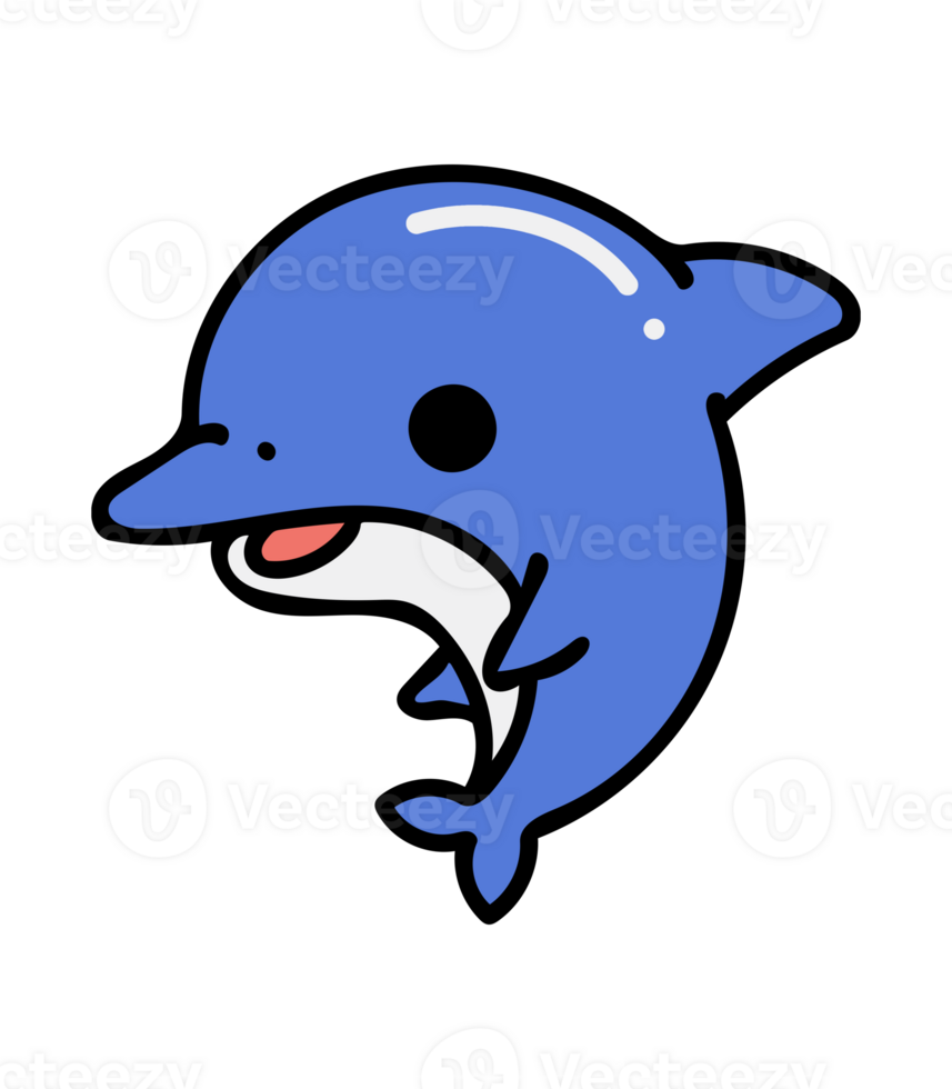 Cute Dolphin Drawing png