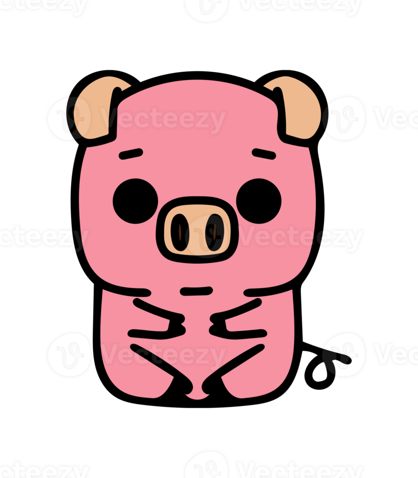 Cute Pig Drawing png