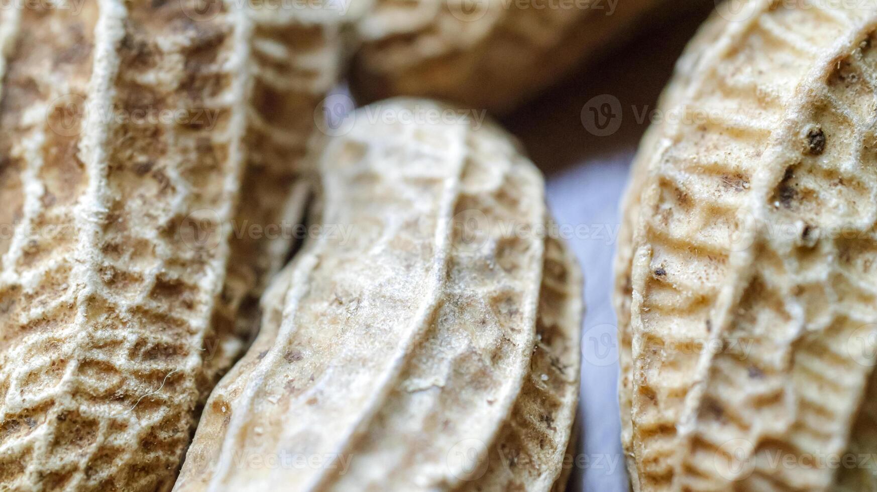 peanut skin detail texture top view for background photo
