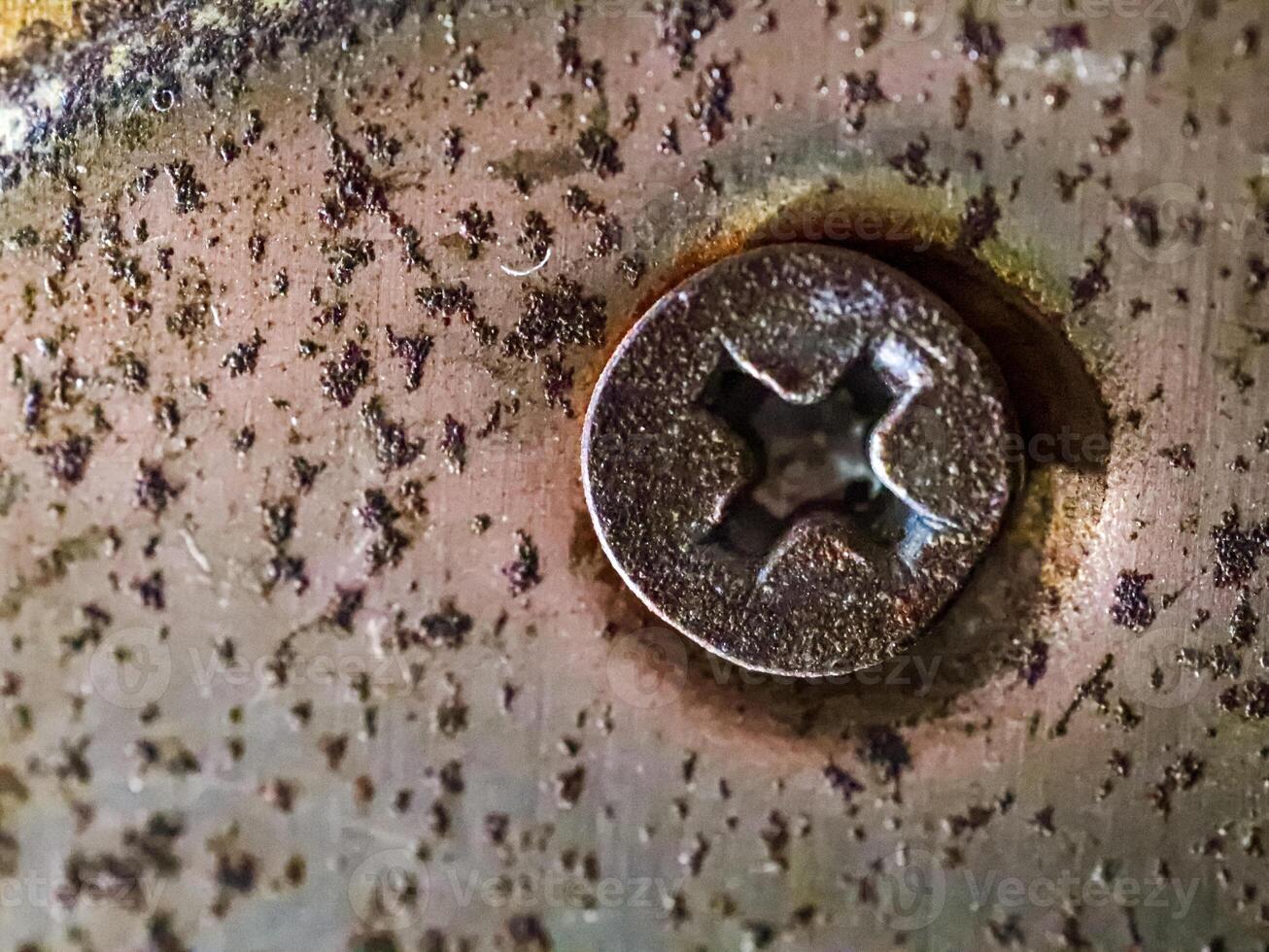 close up of rusty screw head photo
