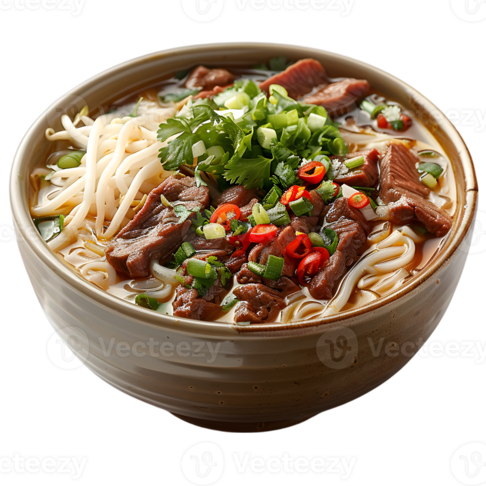 A bowl of beef and noodles with vegetables png