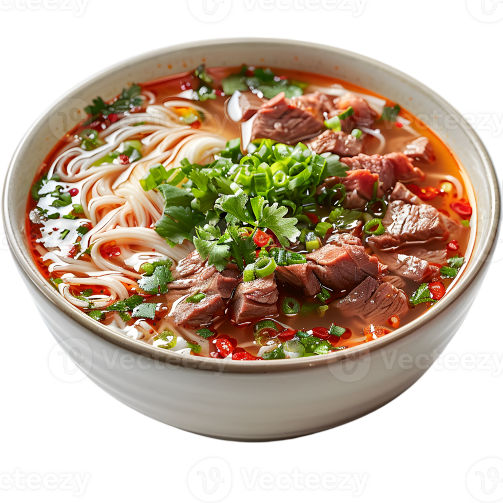 A bowl of beef and noodles with a side of green onions png