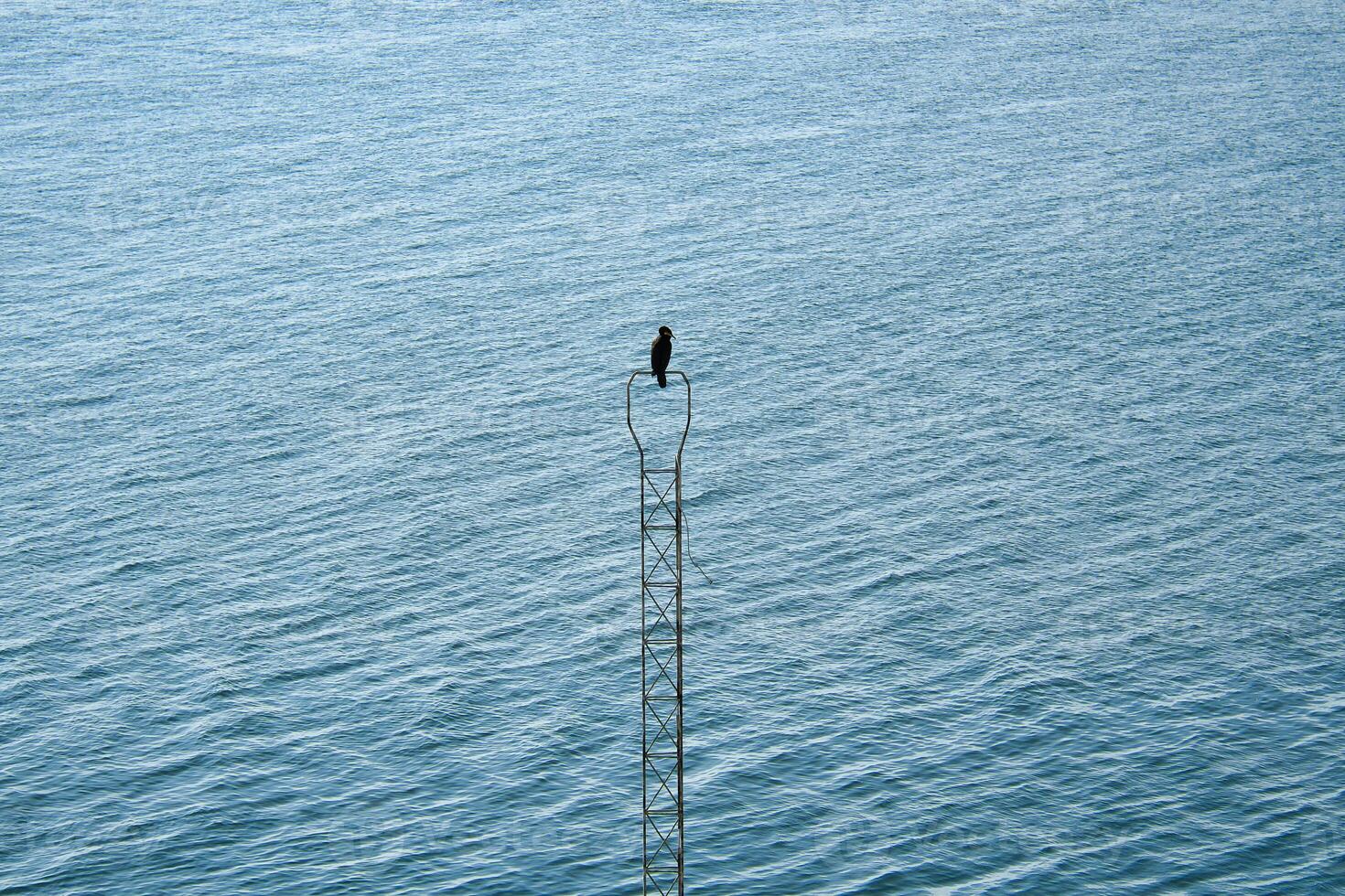 A black cormorant bird on a metal, narrow structure above a calm water surface. photo
