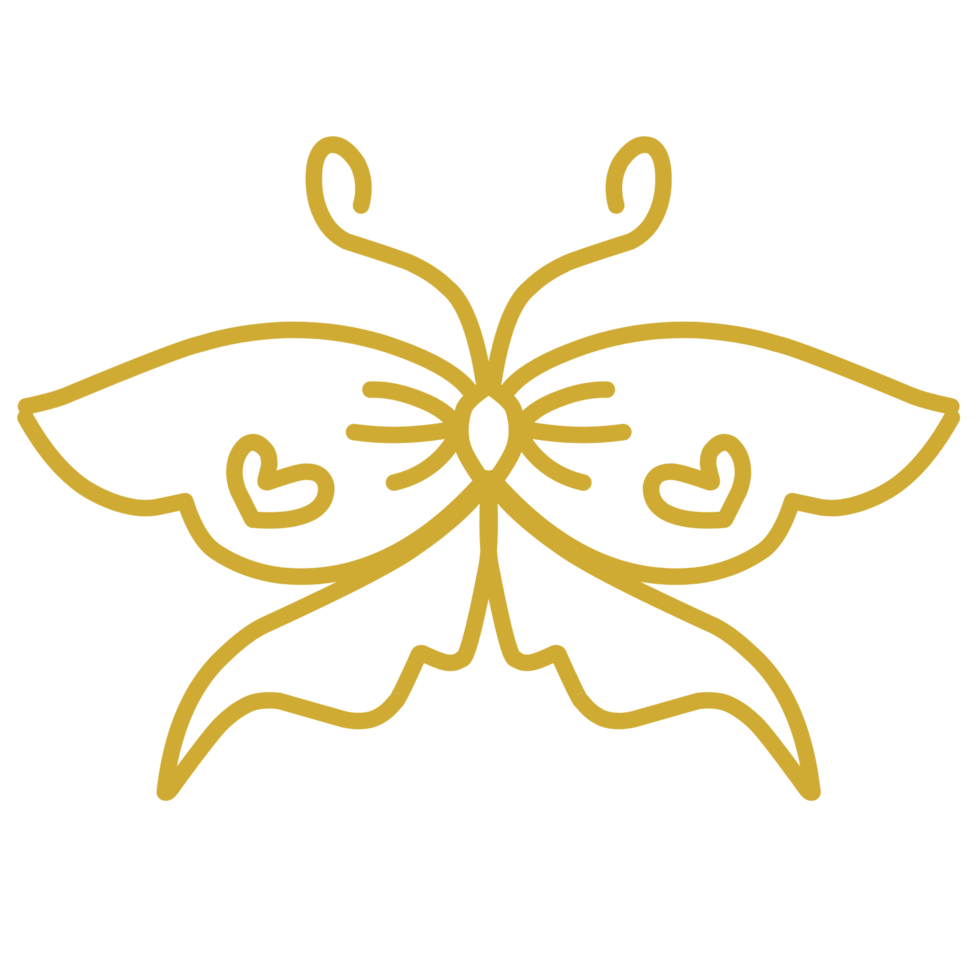 Gold butterfly line with heart shape png
