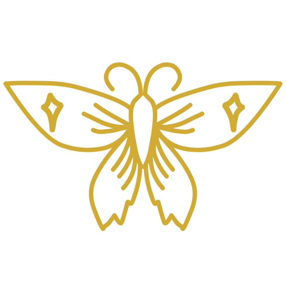 Beautiful butterfly with golden line png