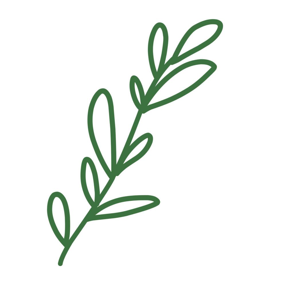 Green herb leaves png