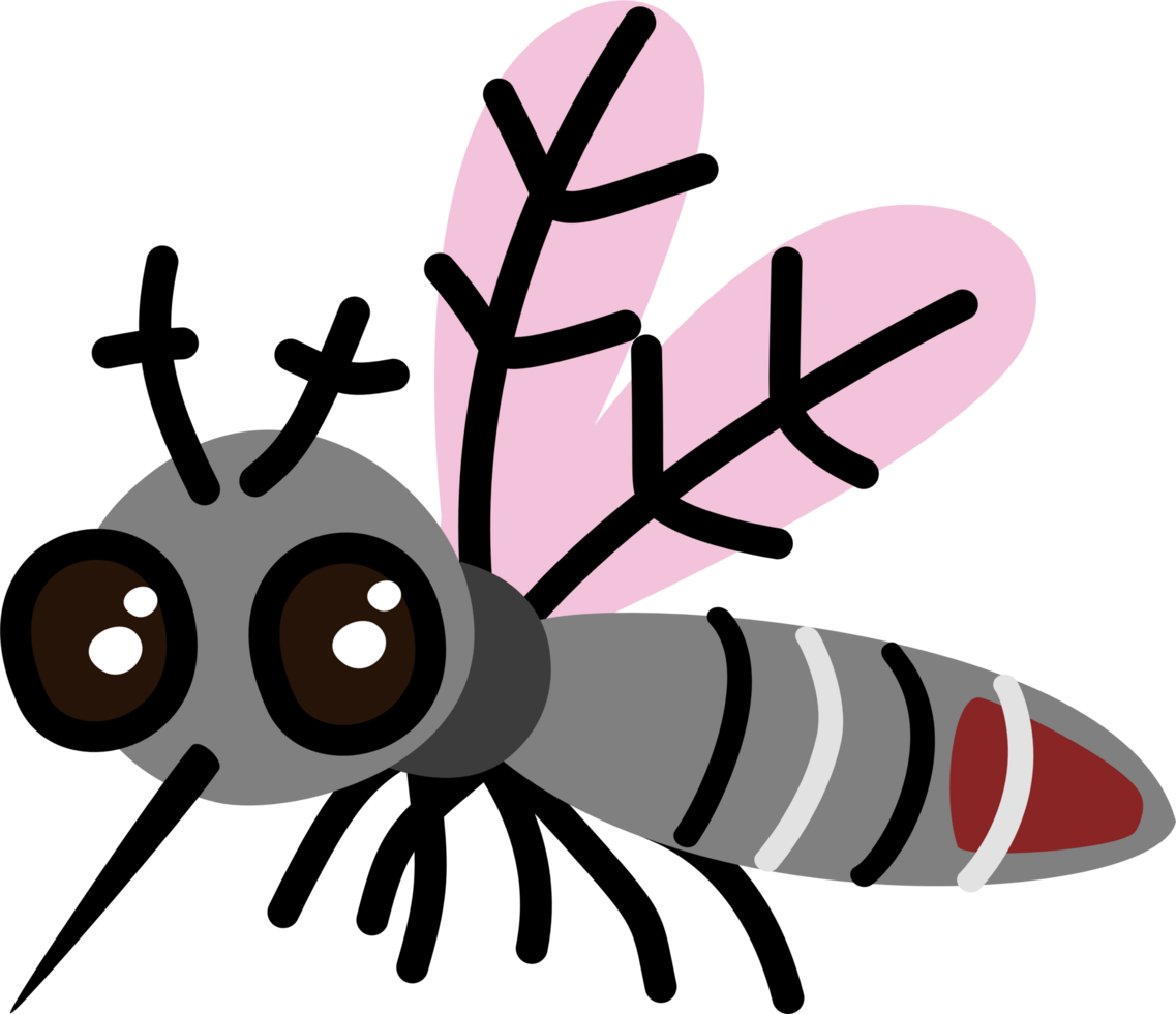 Mosquito carrying blood in belly png