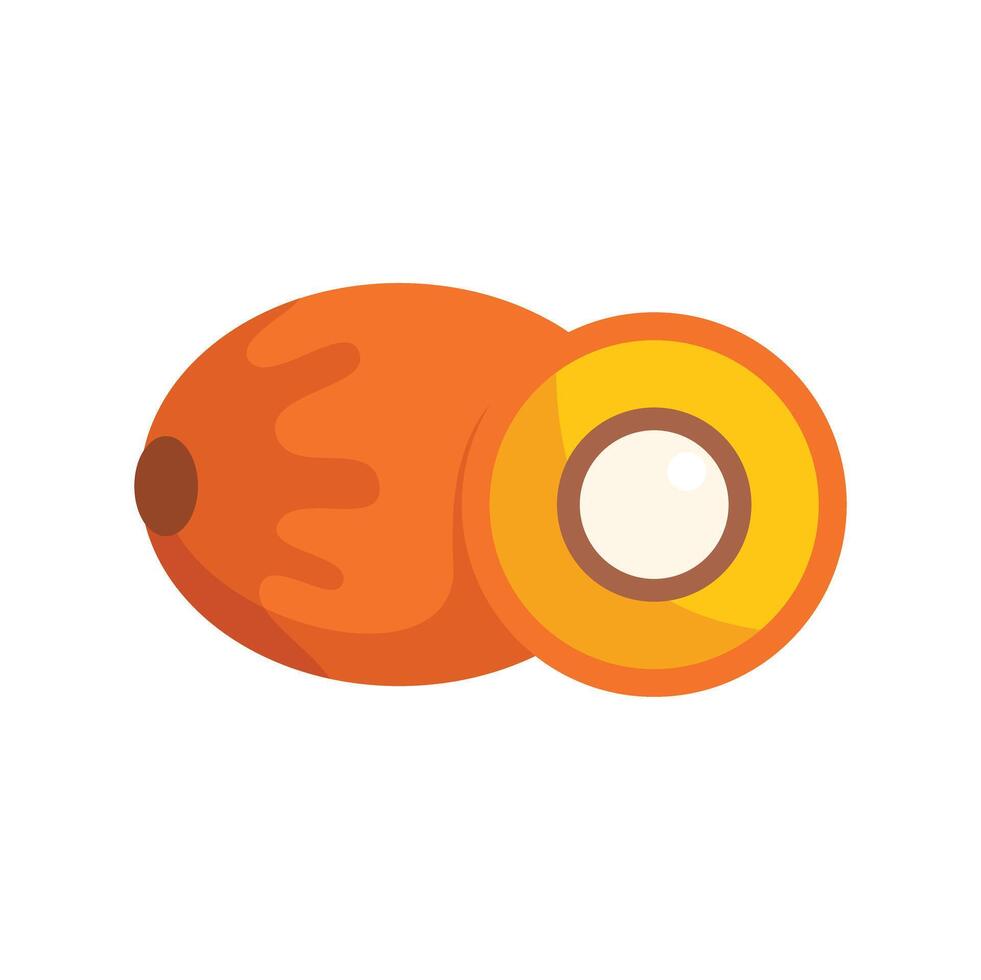 Palm oil fruit cut in half showing the seed vector