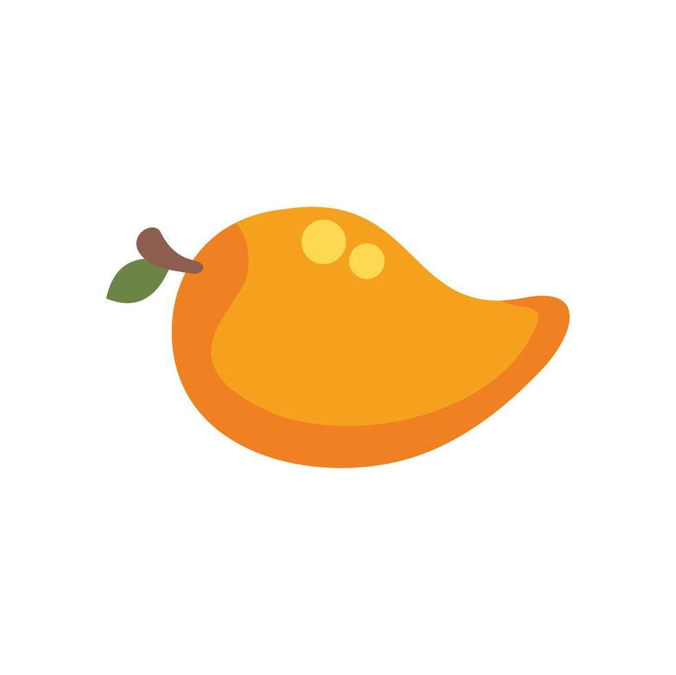 Fresh mango fruit with leaf still growing on branch vector