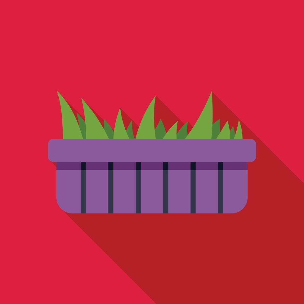 Rectangular flowerpot with growing grass on red background vector