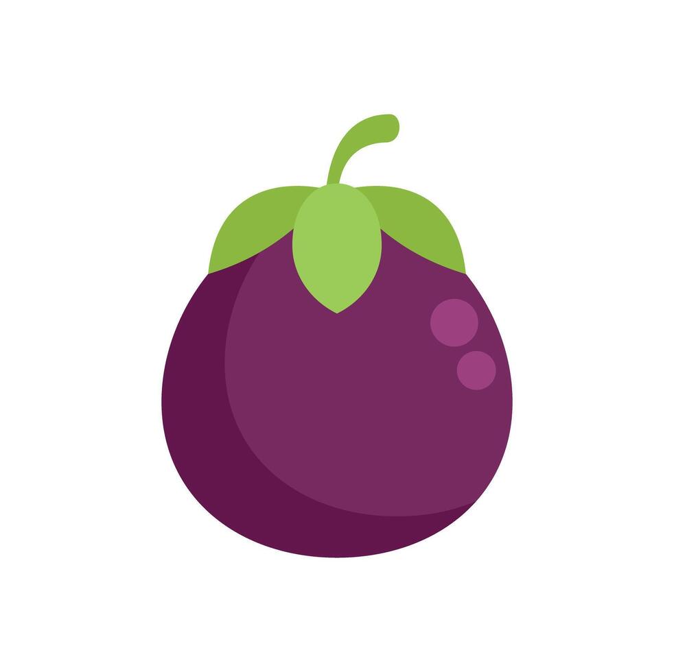 Ripe eggplant vegetable icon showing green stem vector