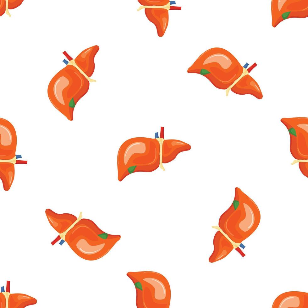 Seamless pattern with realistic human liver for medical design vector