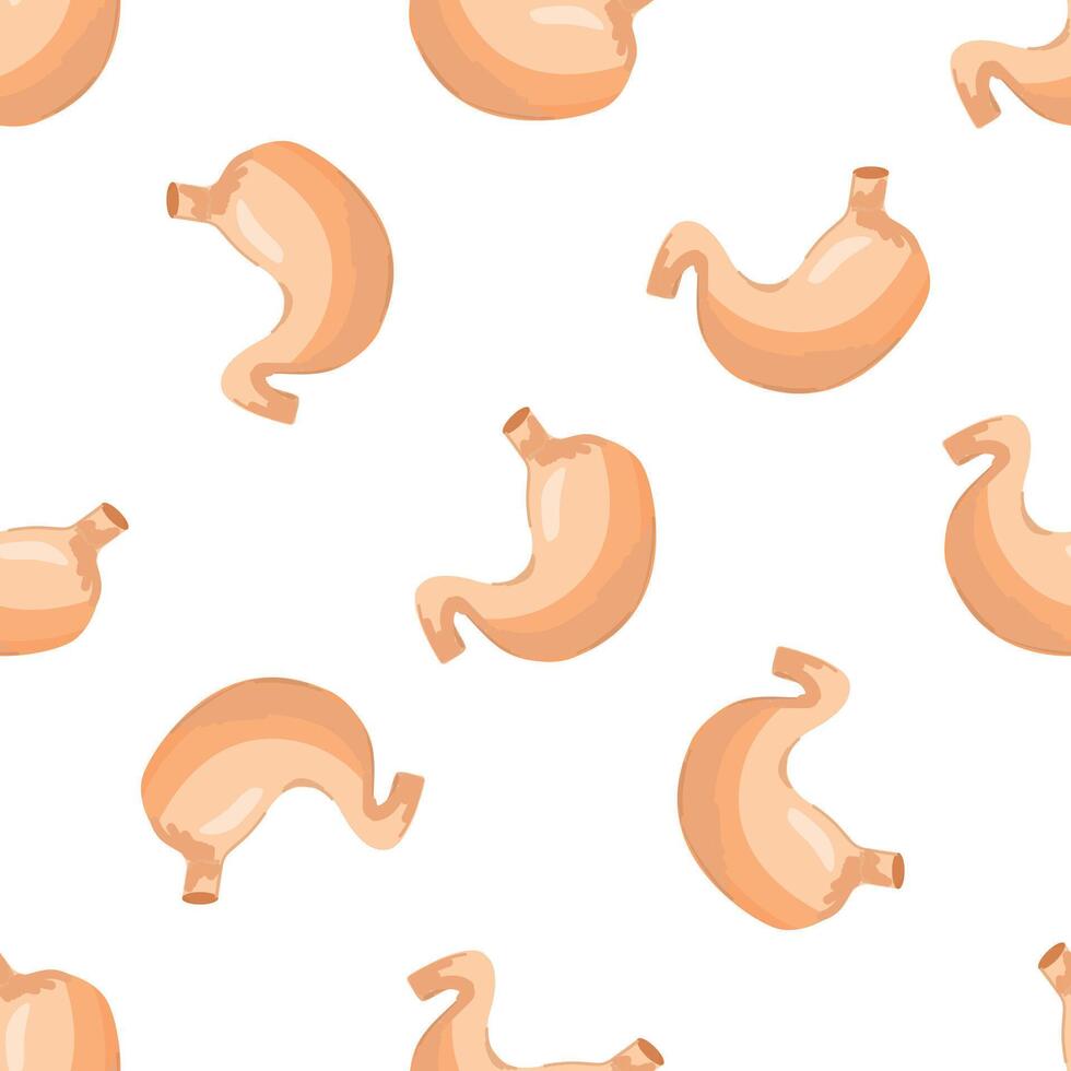Seamless pattern with realistic human stomachs on white background vector