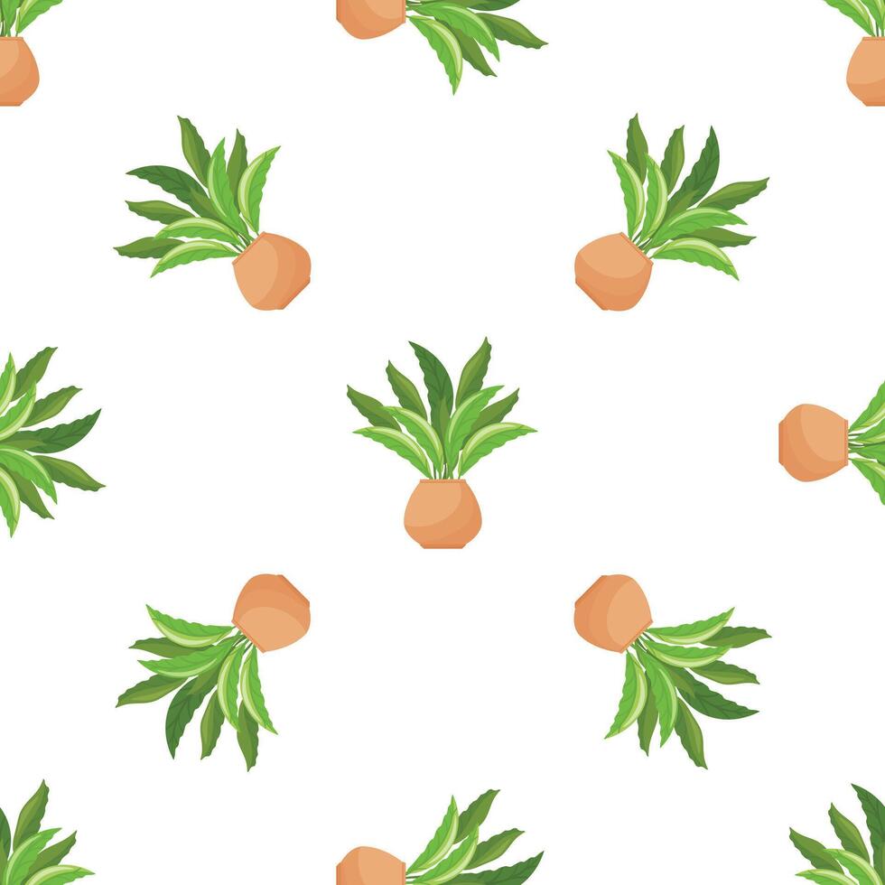 Seamless pattern with bird's nest fern houseplant in terracotta pot growing on white background vector