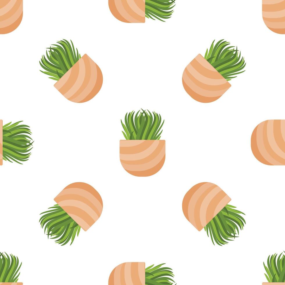 Seamless pattern of decorative grass growing in square pots on a white background vector