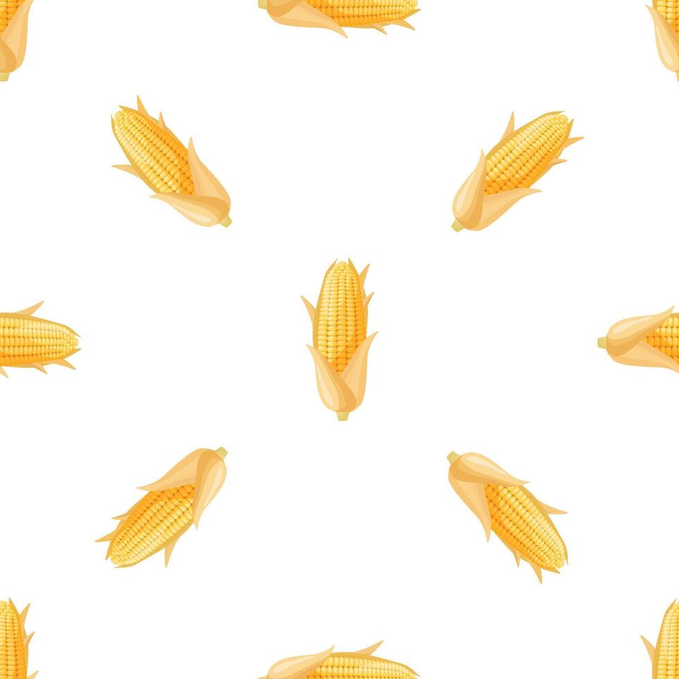 Seamless pattern with ripe corn cobs on white background vector