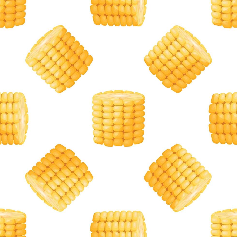 Seamless pattern of fresh corn cobs on white background vector