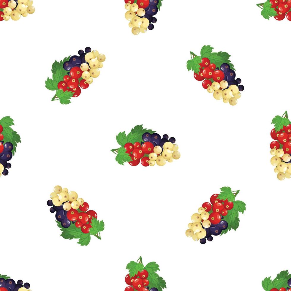Seamless pattern with sprigs of red, white and black currants growing together vector