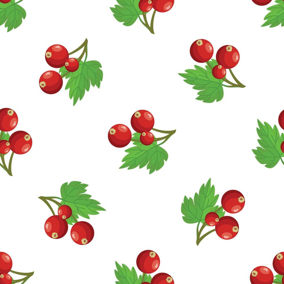 Seamless pattern with red currant branches growing on white background vector