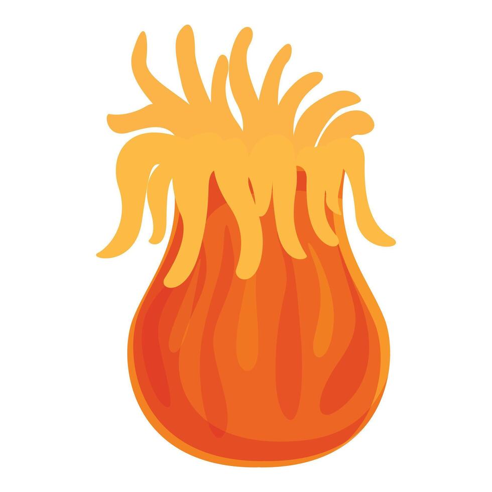Orange sea anemone showing tentacles on white background vector