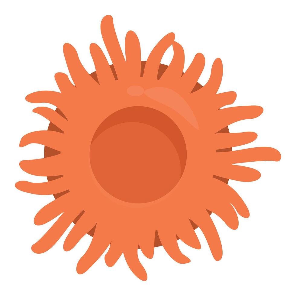 Sun coral polyp growing on tropical reef vector