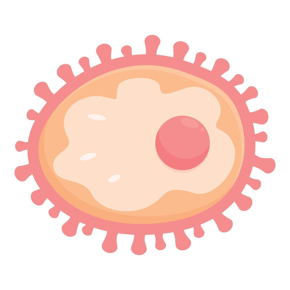Chlamydia trachomatis bacteria showing elementary body and reticulate body stages vector