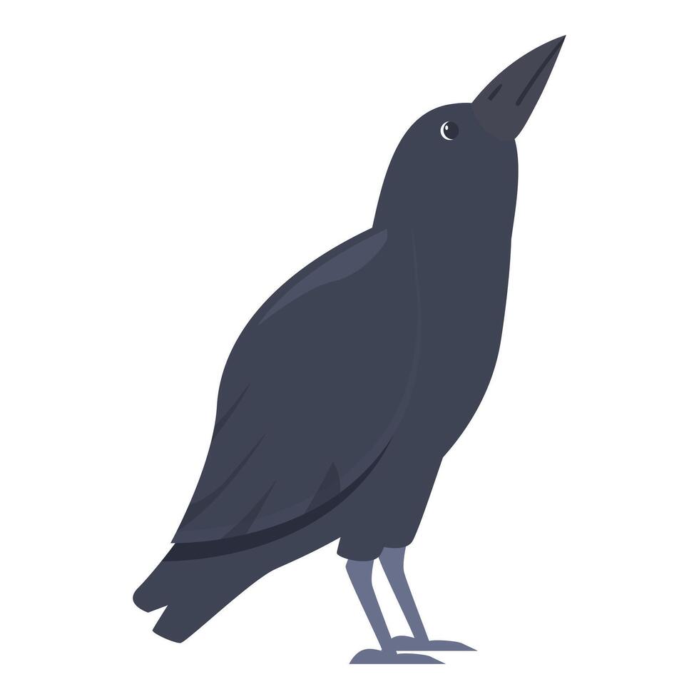 Raven looking up, bird observing sky, wildlife illustration vector