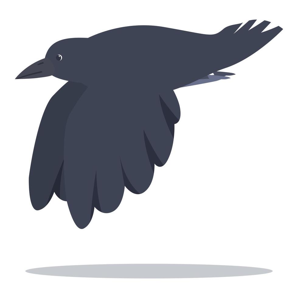 Black crow flying with spread wings and claws visible vector