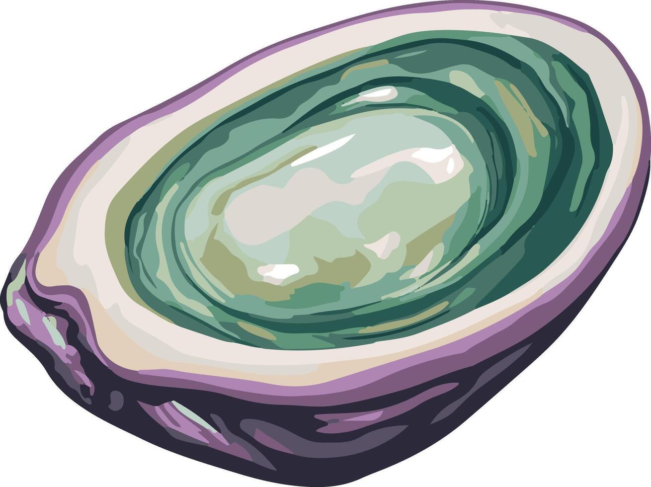 lovely cute simple abalone clipart vector