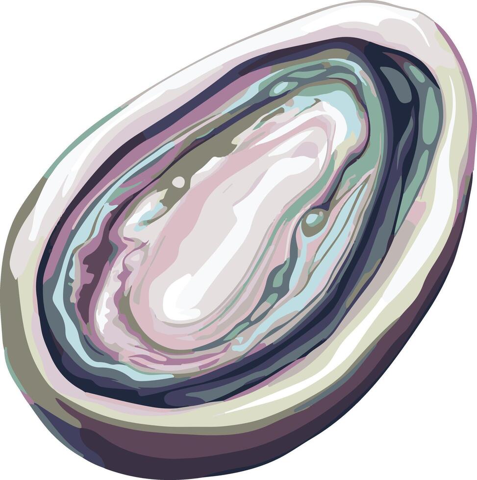 sweet cute simple abalone clipart vector