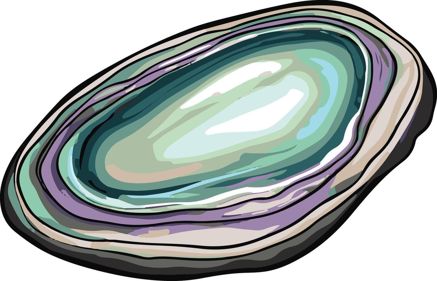 cute simple abalone clipart vector