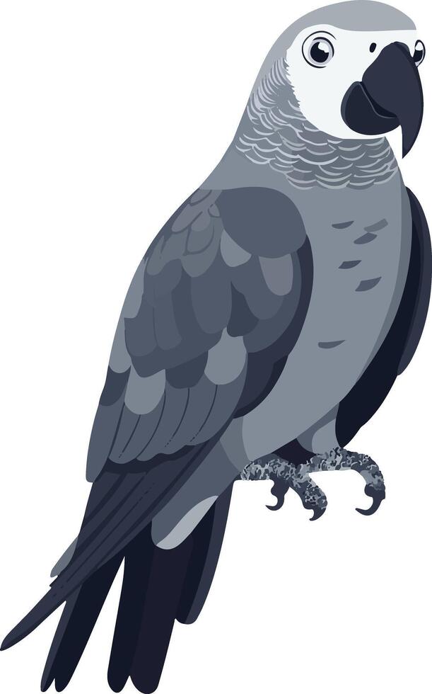 cute simple African gray parrot clipart vector
